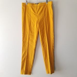 New Jasmine & Juliana Mustard Yellow Classic Fit Pant